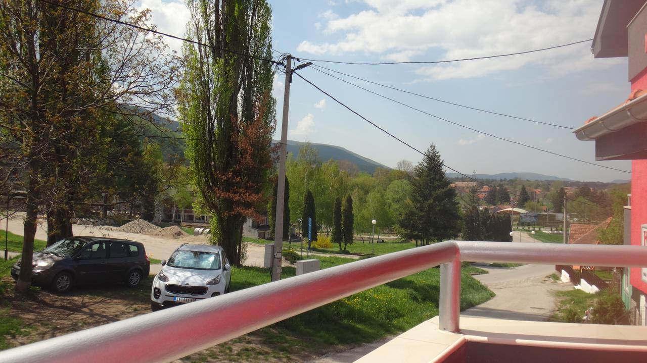 Konak Vila Mirkovic Hotel Soko Banja Exterior foto